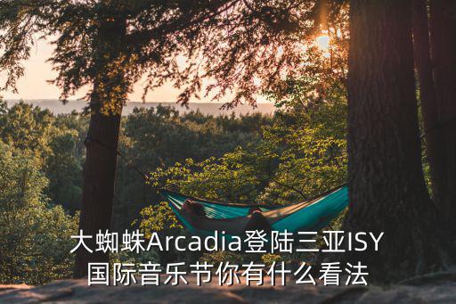 大蜘蛛Arcadia登陸三亞ISY國際音樂節你有什么看法