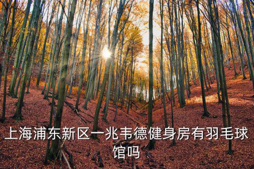 上海浦東新區一兆韋德健身房有羽毛球館嗎