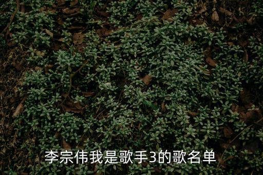 歌手3，我是歌手3里面的留著中分的伴唱男歌手是誰一共是四人他是左邊