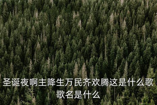 普世歡騰，這是什么歌啊 什么圣誕歌曲