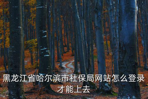 黑龍江省哈爾濱市社保局網(wǎng)站怎么登錄才能上去