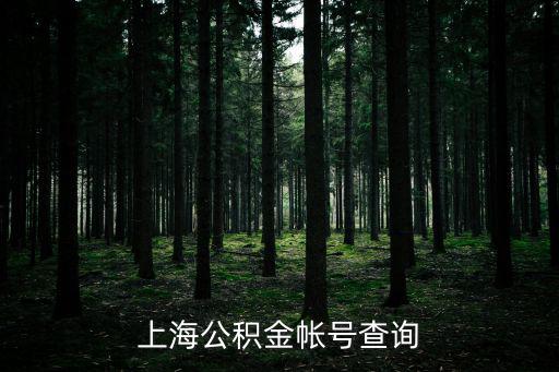 上海公積金帳號查詢