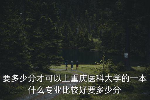 重慶醫科大學錄取分數線，要多少分才可以上重慶醫科大學的一本什么專業比較好要多少分