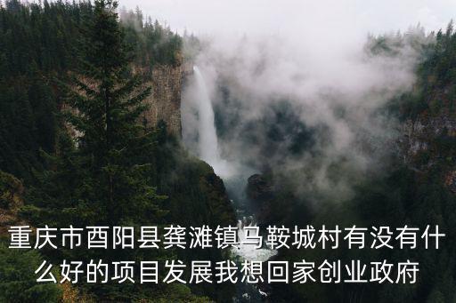 重慶市酉陽縣龔灘鎮馬鞍城村有沒有什么好的項目發展我想回家創業政府