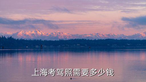 上海考駕照需要多少錢