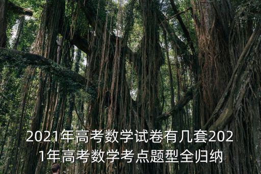 2021年高考數(shù)學(xué)試卷有幾套2021年高考數(shù)學(xué)考點題型全歸納
