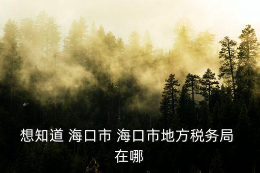 海南稅務局，海南省國稅局好還是省地稅局好