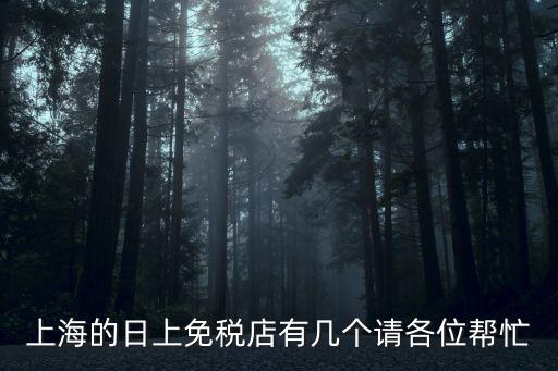 上海日上，上海日上是什么意思