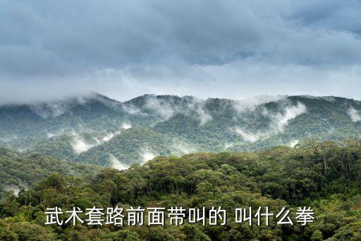 大拳，武術套路前面帶叫的 叫什么拳