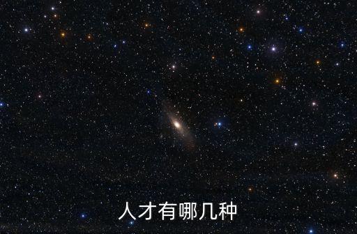 人才有哪幾種