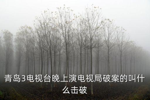青島3電視臺晚上演電視局破案的叫什么擊破