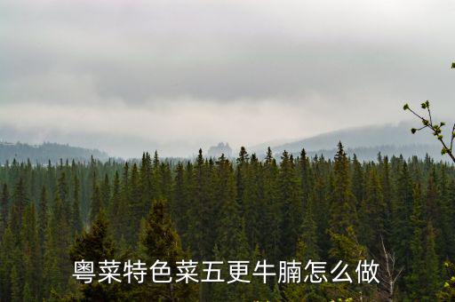 牛腩怎么做，如何做紅燒牛腩