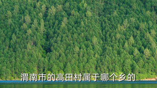 渭南市的高田村屬于哪個鄉的