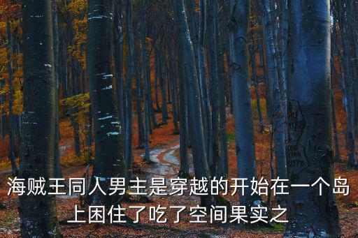 海賊之機械師，主角得到了一個什么鴻蒙戒指然后穿越海賊 死神 火影啊什么的