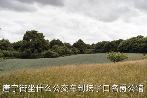 唐寧街坐什么公交車(chē)到壇子口名爵公館