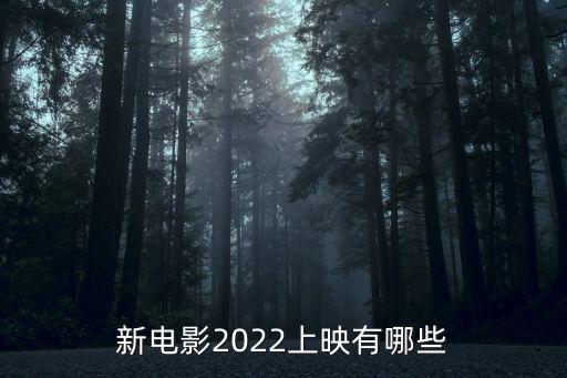 新電影2022上映有哪些