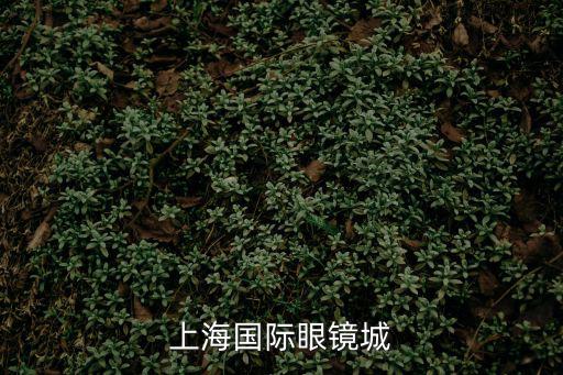 上海國際眼鏡城