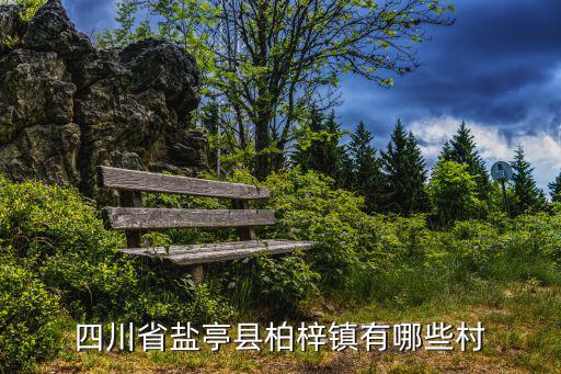 柏梓鎮(zhèn)，從江蘇宿遷到四川綿陽市鹽亭縣柏梓鎮(zhèn)