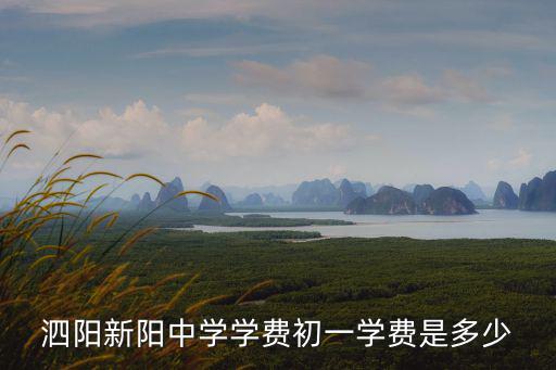 泗陽新陽中學學費初一學費是多少