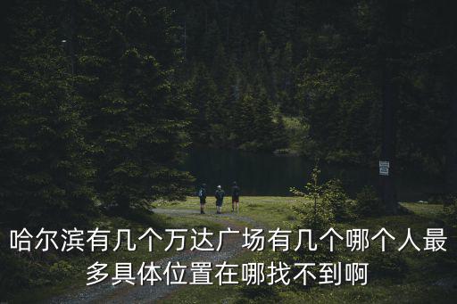 哈爾濱有幾個萬達廣場有幾個哪個人最多具體位置在哪找不到啊