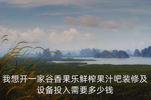 谷香果樂，我想開一家谷香果樂鮮榨果汁吧裝修及設備投入需要多少錢