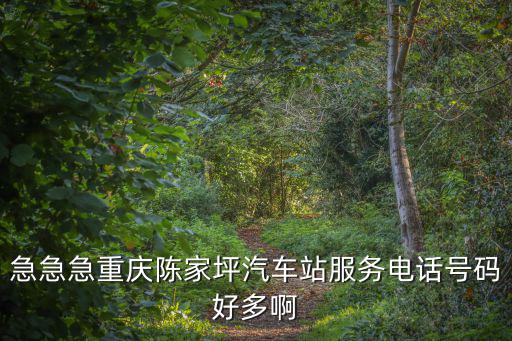 急急急重慶陳家坪汽車站服務電話號碼好多啊