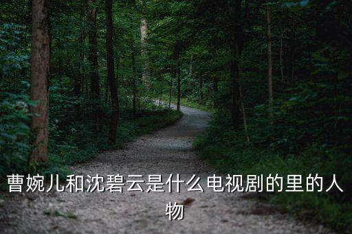 碧血書香夢演員表，曹婉兒和沈碧云是什么電視劇的里的人物