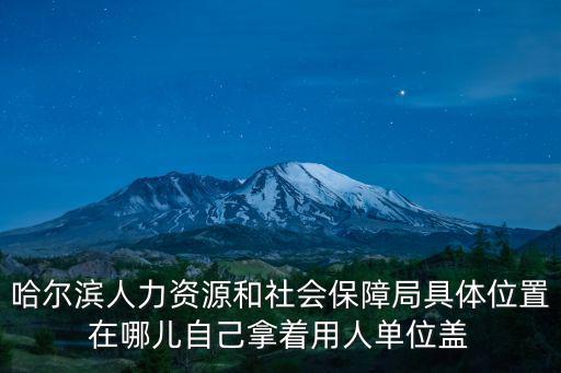 哈爾濱人力資源和社會保障局具體位置在哪兒自己拿著用人單位蓋