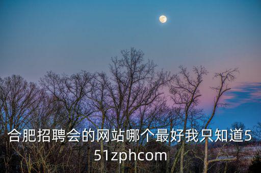 網(wǎng)上招聘會，合肥招聘會的網(wǎng)站哪個(gè)最好我只知道551zphcom