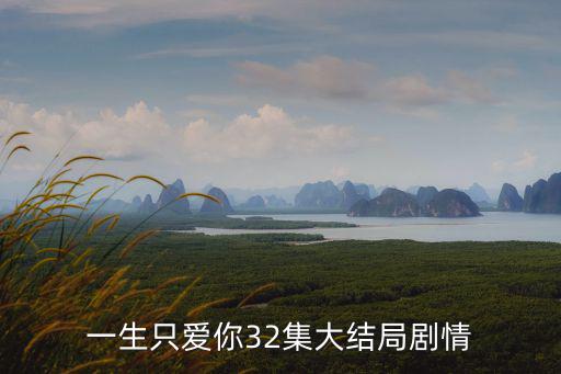 一生只愛你32集大結局劇情