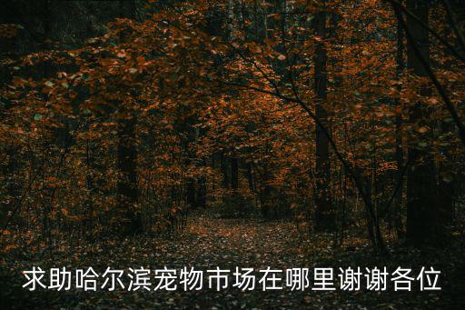 求助哈爾濱寵物市場在哪里謝謝各位