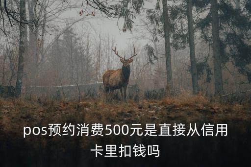 pos預(yù)約消費(fèi)500元是直接從信用卡里扣錢嗎