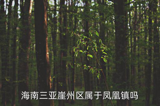 海南三亞崖州區屬于鳳凰鎮嗎