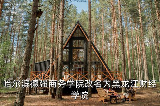 哈爾濱財經學院，哈爾濱德強商務學院改名為黑龍江財經學院