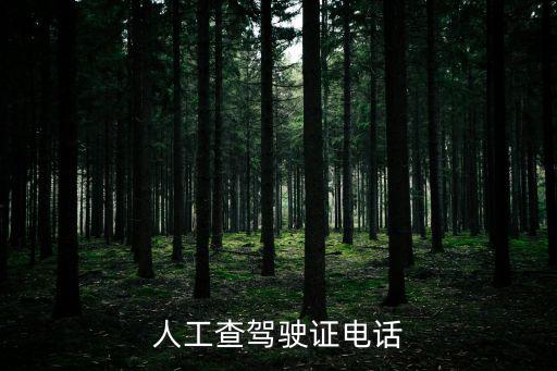人工查駕駛證電話