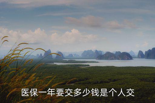 醫保一年要交多少錢是個人交