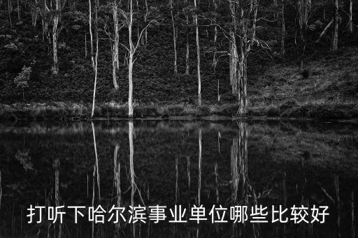 打聽下哈爾濱事業單位哪些比較好
