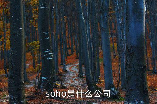 上海soho，上海SOHO什么情況