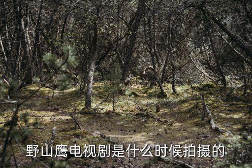 野山鷹電視劇是什么時候拍攝的