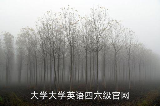 英語(yǔ)46級(jí)官網(wǎng)，大學(xué)大學(xué)英語(yǔ)四六級(jí)官網(wǎng)