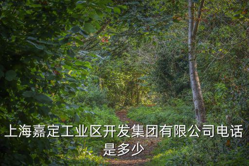 上海嘉定工業區開發集團有限公司電話是多少
