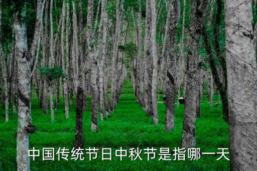 中國傳統節日中秋節是指哪一天