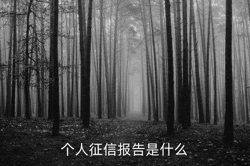 征信報告是什么，個人征信報告是什么