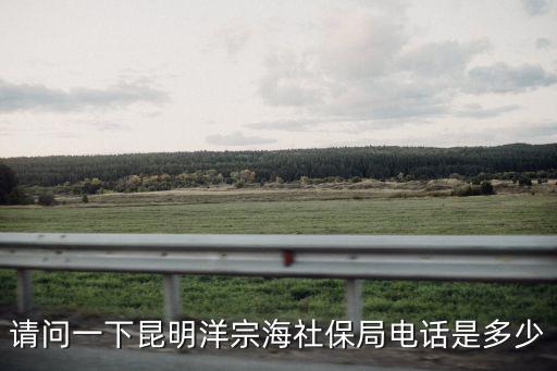 請問一下昆明洋宗海社保局電話是多少