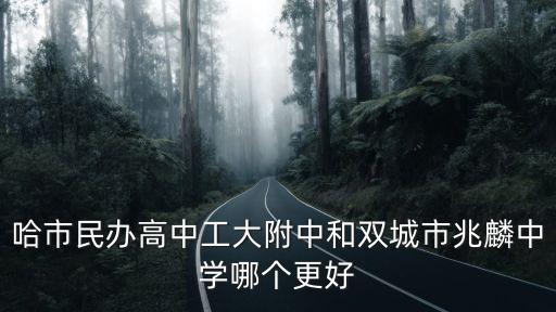 哈市民辦高中工大附中和雙城市兆麟中學哪個更好