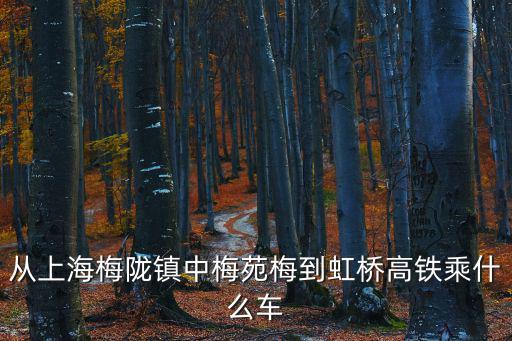 中梅苑，中梅苑怎么樣
