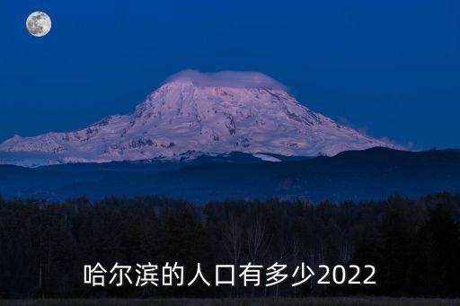 哈爾濱市人口，哈爾濱現在有多少萬人口