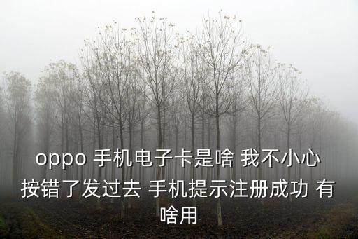 oppo 手機(jī)電子卡是啥 我不小心按錯(cuò)了發(fā)過(guò)去 手機(jī)提示注冊(cè)成功 有啥用
