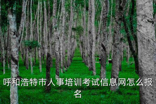 呼和浩特市人事培訓(xùn)考試信息網(wǎng)怎么報(bào)名