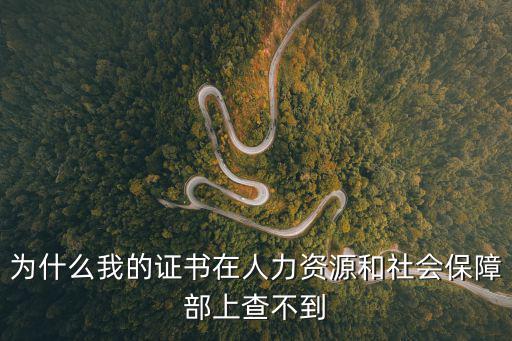 為什么我的證書在人力資源和社會(huì)保障部上查不到